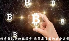 比特币钱包的数据同步：