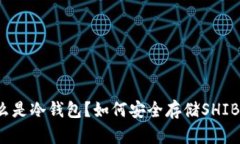 什么是冷钱包？如何安全