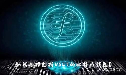如何选择支持USDT的比特币钱包?