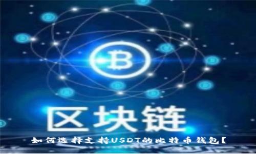 如何选择支持USDT的比特币钱包?
