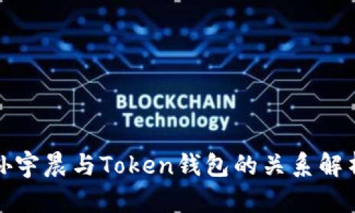 孙宇晨与Token钱包的关系解析