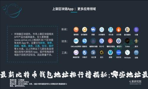 2023年最新比特币钱包地址排行榜揭秘:哪些地址最为富有?