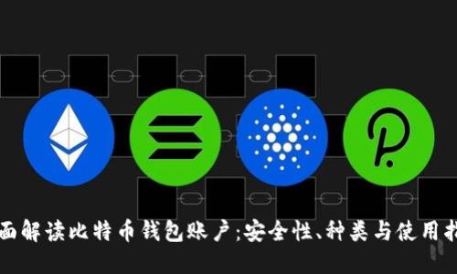 全面解读比特币钱包账户:安全性、种类与使用指南