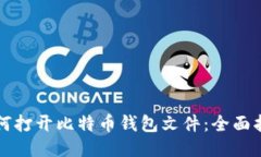 如何打开比特币钱包文件