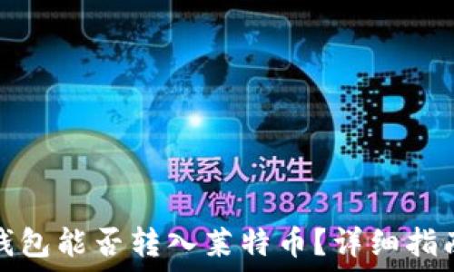 比特币钱包能否转入莱特币?详细指南与解答
