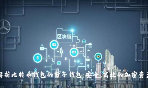 全面解析比特币钱包的分子钱包:安全、高效的加密资产管理