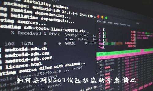 如何应对USDT钱包被盗的紧急情况