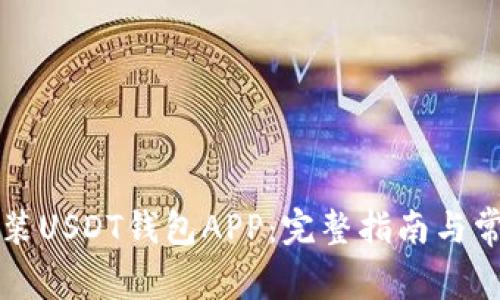如何下载安装USDT钱包APP:完整指南与常见问题解析