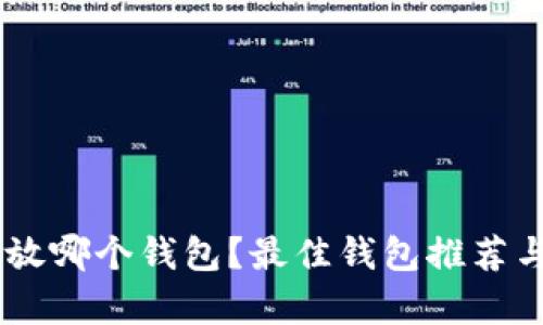 SHIB币存放哪个钱包?最佳钱包推荐与安全指南