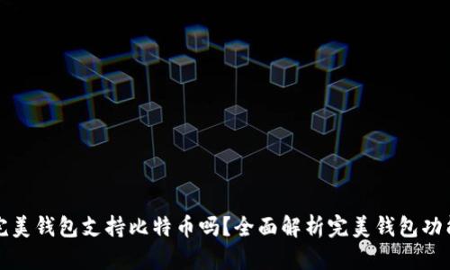 完美钱包支持比特币吗?全面解析完美钱包功能