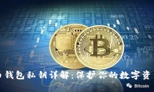 比特币钱包私钥详解:保护你的数字资产安全