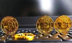 :比特币现金钱包的选择全