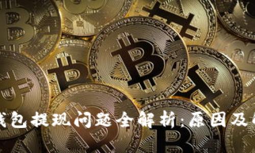 比特币钱包提现问题全解析:原因及解决方案
