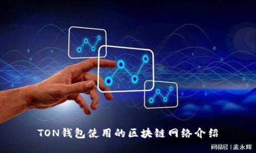 TON钱包使用的区块链网络介绍