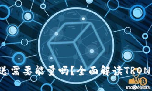 : TRX钱包发送需要能量吗？全面解读TRON网络能源机制