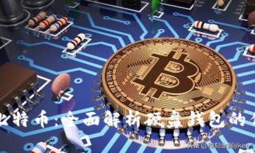 如何安全存储比特币:全面解析硬盘钱包的优势与使用技巧