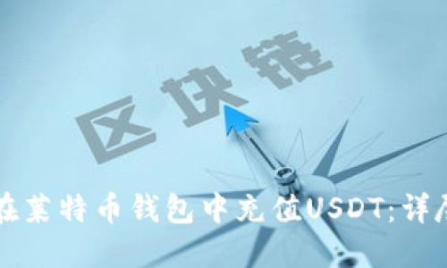 如何在莱特币钱包中充值USDT:详尽指南