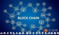比特币钱包无数据：解决