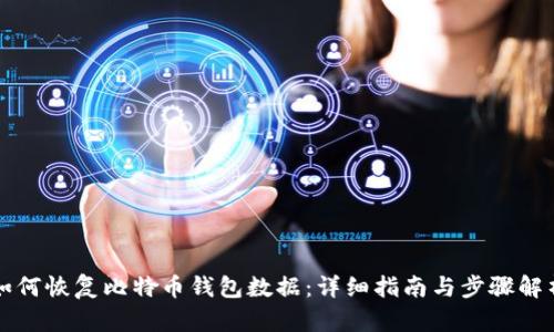 如何恢复比特币钱包数据:详细指南与步骤解析