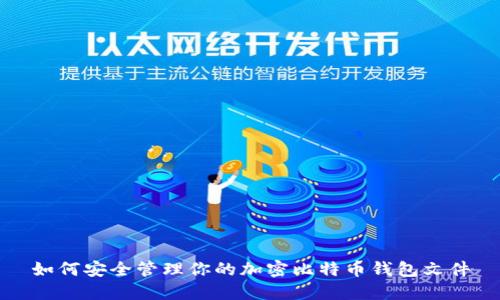 如何安全管理你的加密比特币钱包文件