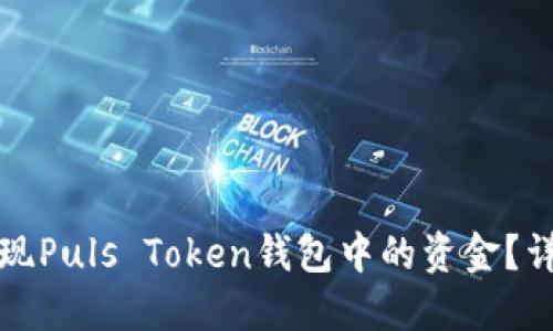 如何提现Puls Token钱包中的资金？详细指南