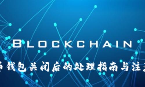 比特币钱包关闭后的处理指南与注意事项