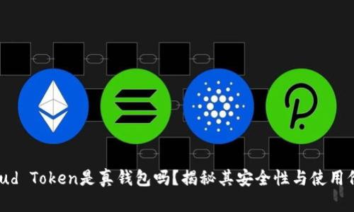 Cloud Token是真钱包吗？揭秘其安全性与使用价值