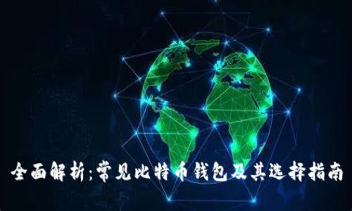 全面解析:常见比特币钱包及其选择指南
