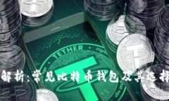全面解析：常见比特币钱