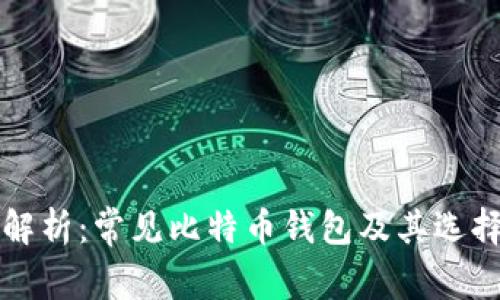 全面解析:常见比特币钱包及其选择指南