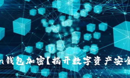什么是Token钱包加密?揭开数字资产安全的神秘面纱