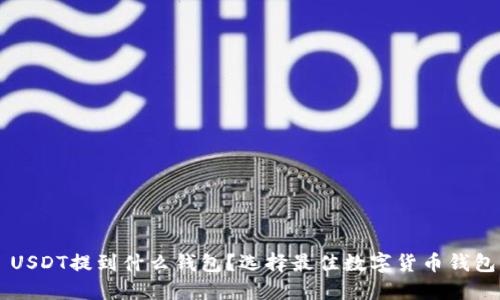 ### USDT提到什么钱包?选择最佳数字货币钱包的指南