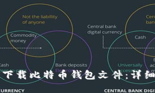 如何下载比特币钱包文件:详细指南