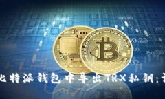 如何在比特派钱包中导出