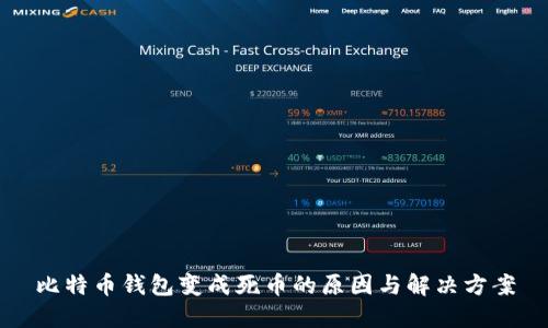 比特币钱包变成死币的原因与解决方案