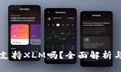 货币钱包支持XLM吗?全面解析与使用指南