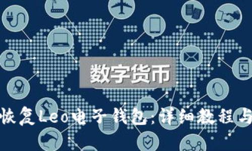如何恢复Leo电子钱包:详细教程与步骤