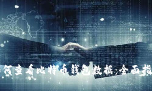如何查看比特币钱包数据:全面指南