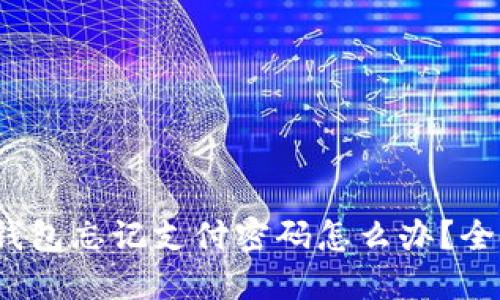 IM Token钱包忘记支付密码怎么办?全面解决指南