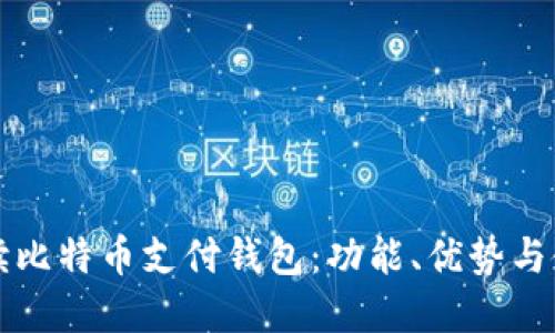 全面解读比特币支付钱包:功能、优势与使用指南