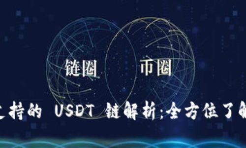 Ledger 钱包支持的 USDT 链解析:全方位了解您的数字资产