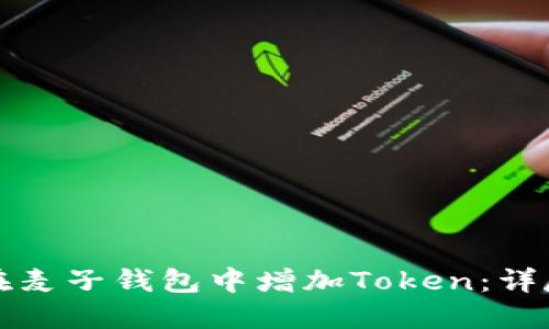 如何在麦子钱包中增加Token：详尽指南