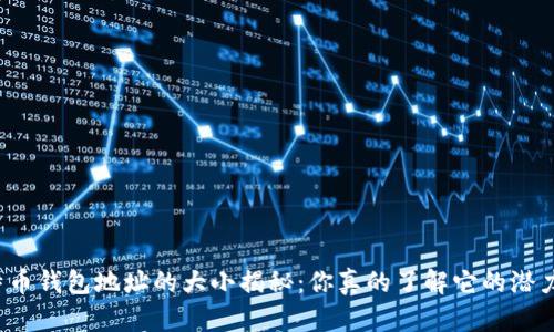 比特币钱包地址的大小揭秘：你真的了解它的潜力吗？