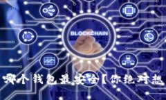 USDT提现到哪个钱包最安全