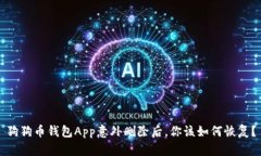 狗狗币钱包App意外删除后