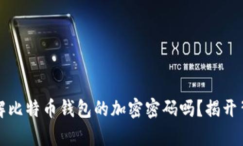 你真的了解比特币钱包的加密密码吗？揭开背后的秘密