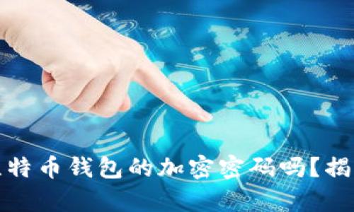 你真的了解比特币钱包的加密密码吗？揭开背后的秘密