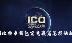 早期比特币钱包究竟藏着