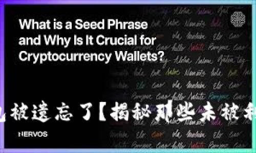 你的比特币钱包被遗忘了？揭秘那些未被利用的数字财富！