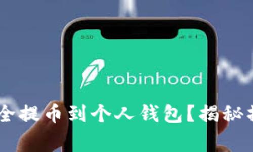 如何将SHIB货币安全提币到个人钱包？揭秘操作步骤与注意事项